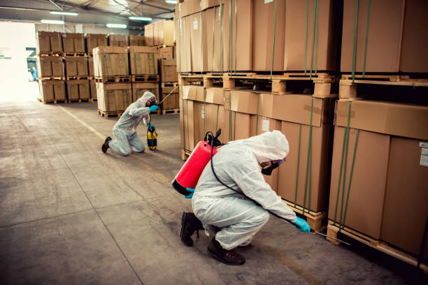 Best Bed Bug Extermination  in Barbourmeade, KY