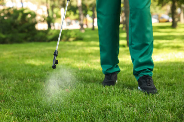 Trusted Barbourmeade, KY Pest Control Experts