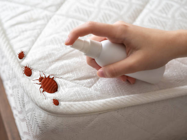Pest Control Cost in Barbourmeade, KY